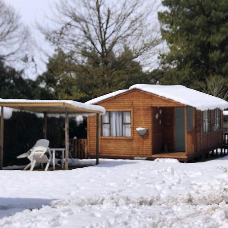 Rustic Cabin Sleepover อันเดอร์เบิร์ก ภายนอก รูปภาพ