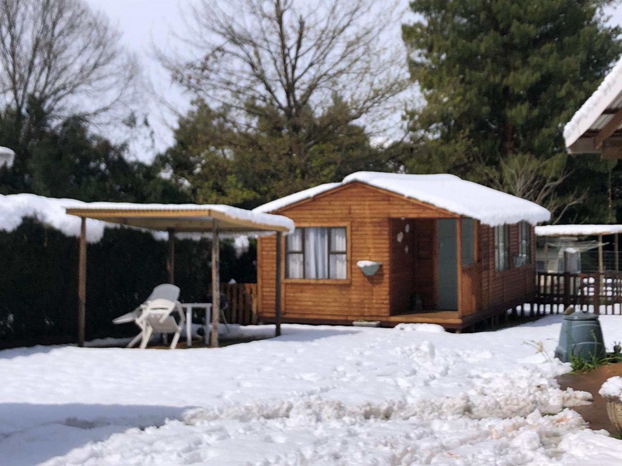 Rustic Cabin Sleepover อันเดอร์เบิร์ก ภายนอก รูปภาพ